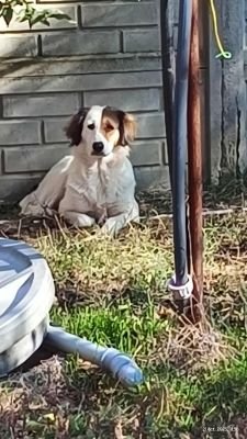 566467911 1812946089314545 638334088829782289 n