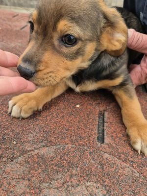 566474467 1548475489932177 4177342352538465135 n