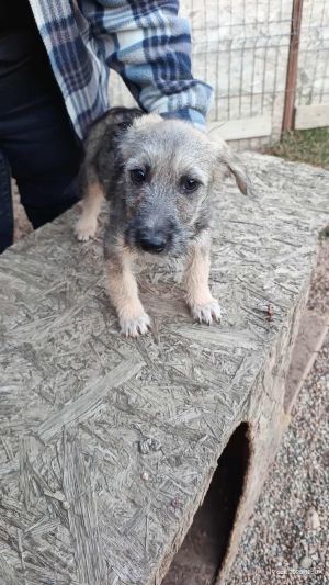 566475713 2260528577761651 4754992425213916298 n