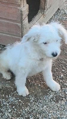 566488477 786225460876071 1920688860010366202 n