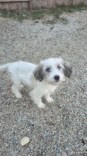 566493950 1280936237397680 7111994805898898863 n