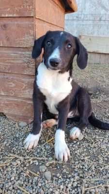 566503726 818678627562328 4659296276521010036 n