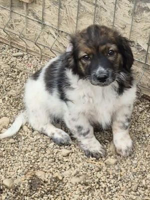 566505691 1493748131907652 1151233199138580029 n