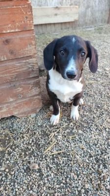 566510325 4201746476811443 3522550872202780917 n