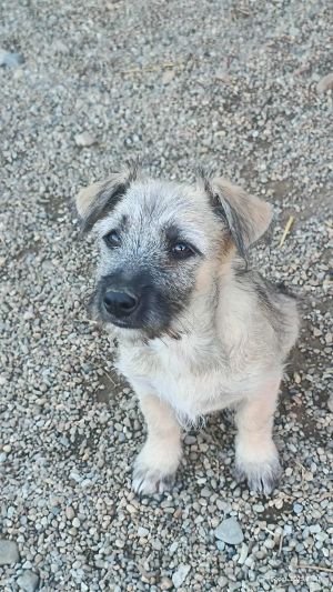 566515643 1209365007686050 4026292090351174634 n