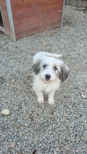 566518036 596487783485792 6821607163769942873 n