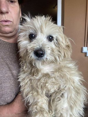 566518062 822706086902137 3234884164154764719 n