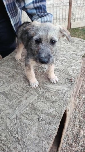 566520642 587260787810620 2130741212656654575 n