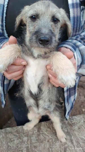 566528257 1899639307434158 2191220503350323459 n