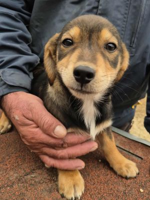 566533824 817717694288469 2005404074088728193 n