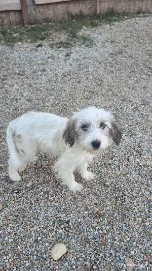 566533919 2290474934758816 2270804519154327005 n