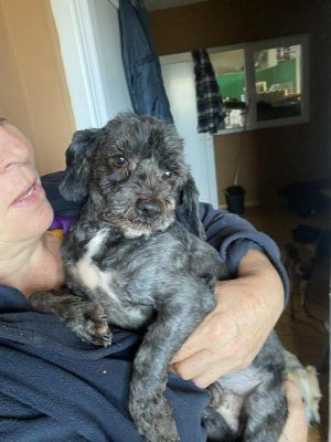 566537788 2041048023373888 2346047767643829628 nzweitfoto