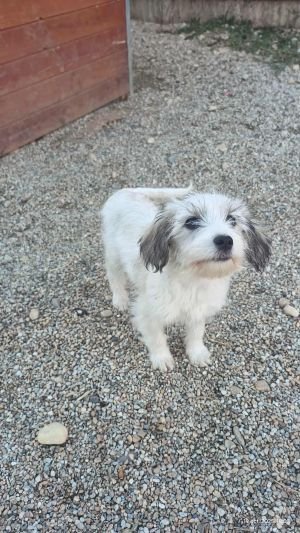 566538899 1832686381458605 5166342988969523674 n