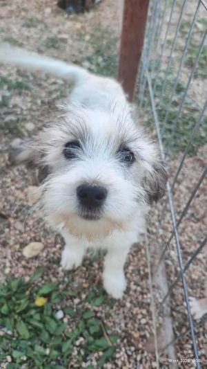 566553894 1361052148961671 1418373635886910314 n