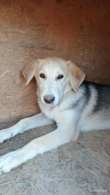 566555925 1126841389556947 7685712502057956916 n