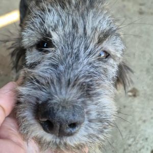 566557582 1446791749743868 3586282242996596525 n