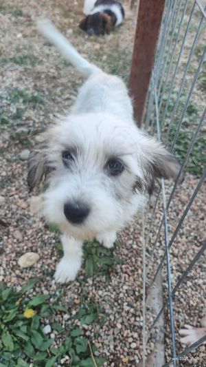 566557762 3113544945487019 6229913068968776269 n