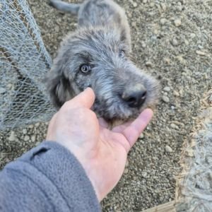 566577552 819673067485757 8801853324230173465 n