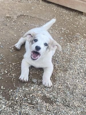 566577802 1851718135451384 7810792454526058977 n