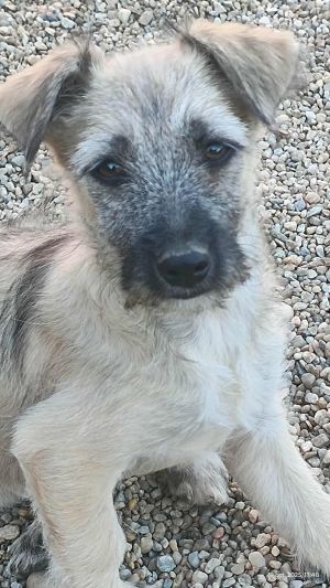 566579618 1660831138221904 49099639286798886 n