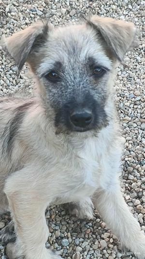 566585485 1368041428275215 6088101571382617931 n