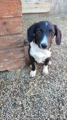 566593847 1561124448640032 3010447784185720721 n