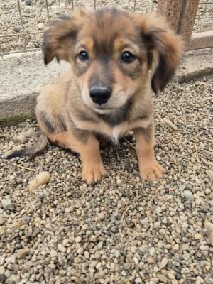 566600687 671340625770332 7620664977853114953 n