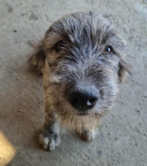 566604323 852808113752876 6981608888686098725 n