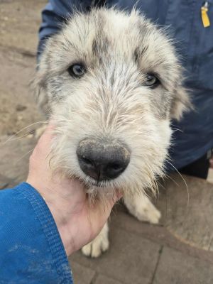 566605876 1603639247656266 2706648696866055767 n