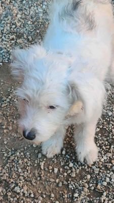 566614646 1042180217949425 5311659343289560152 n