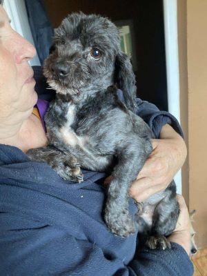 566619488 1499479261387659 2757378261607062958 ndrittfoto