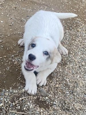 566623258 1935258917870869 8442088266541374414 n