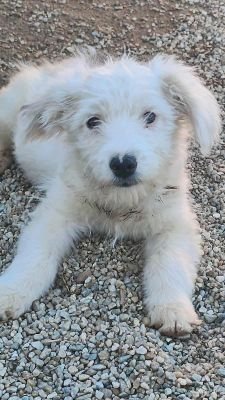 566626859 2441156543007890 2160551770443297697 n