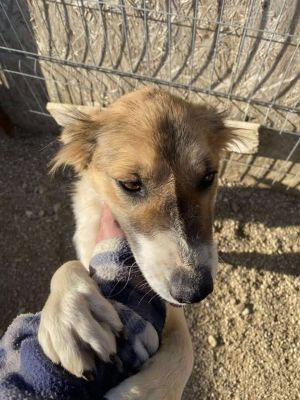 566627657 839557945639174 1262717255589711142 n