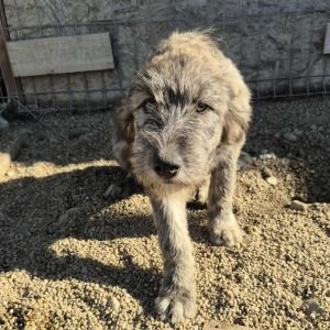 566633473 2366491143796562 1677827835765006503 n