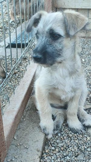 566641584 1174280348132997 5105359938954690411 n