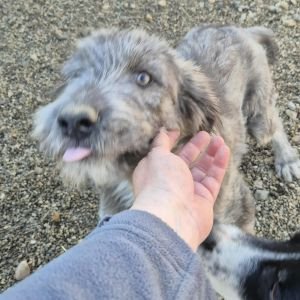 566648520 1472988083813084 1371064182673537622 n