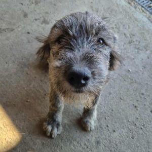 566650380 1716718082235979 7595448369086467352 n