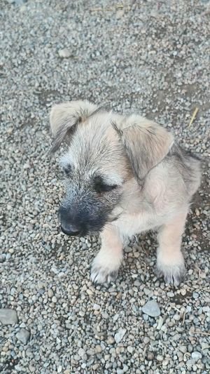 566651271 2263141384206382 6693132768340174176 n