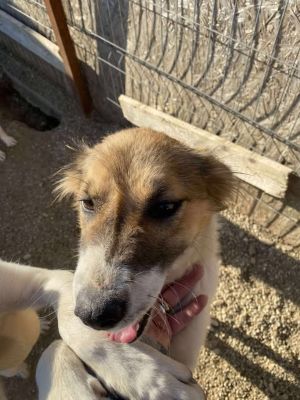 566694946 1157639369792340 1075104595055145935 n