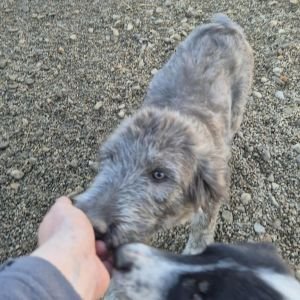 567123774 841065598289022 5550390451383565070 n