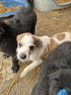 567181571 25564056069856419 611079319558965918 n