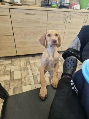 567358054 24973936775580247 8337735314041987677 n