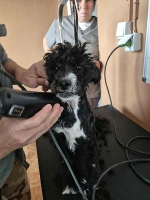 567426773 24983207557986502 2980255349828585421 n