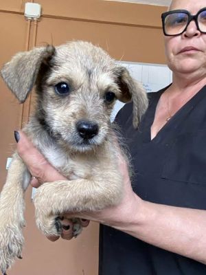 567480216 24963759869931271 207952391778122211 n