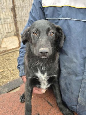 567567303 875478738341918 3137047901723886140 n