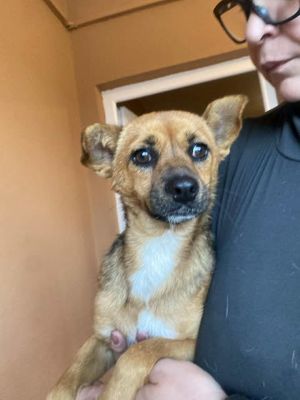 568621073 24984177791222812 7238894170067080814 n