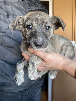 568664160 24984685167838741 7848413681519267588 n