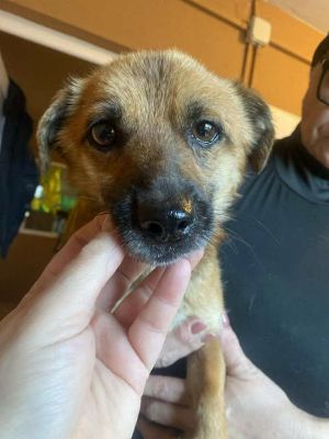 568830620 24984275924546332 4966086644322521691 n