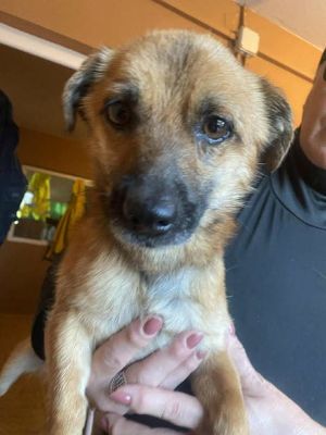 569234815 24984274147879843 1302771799923175513 n